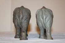 Two Putz Elephants